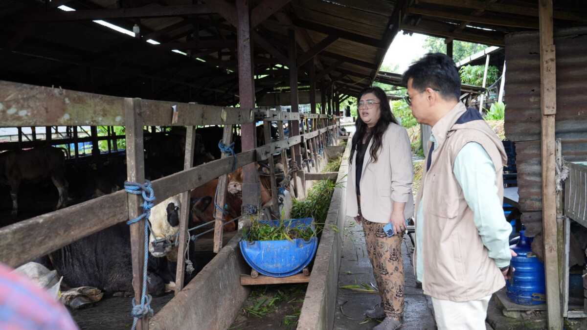 Anggota/Deputi Bidang Pelayanan Umum Badan Pengusahaan (BP) Batam, Ariastuty Sirait meninjau pelayanan dan kondisi lapangan di Kawasan Agribisnis Sei Temiang pada Kamis (15/5/2025). (Foto: humasbpbatam)