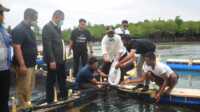 FB_IMG_1600681820623 Foto saat Bupati Karimun melepas sejumlah bibit ikan kerapu, ke kerambah milik nelayan Desa Keban. Foto (Ist)