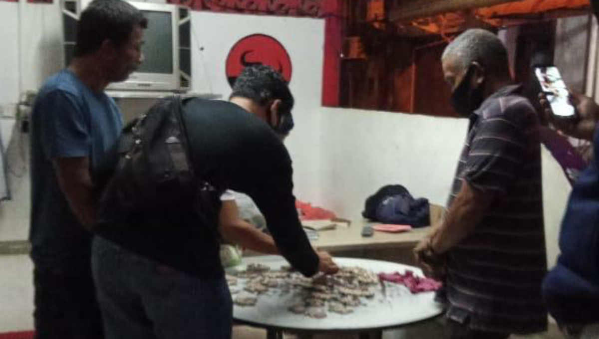 Tim Subdit II Dit Resnarkoba Polda Kepri ketika melakukan penggeledahan. Diduga pengedar ganja, seorang pria di Batam diciduk di posko partai. (foto: Dok. Humas Polda Kepri)