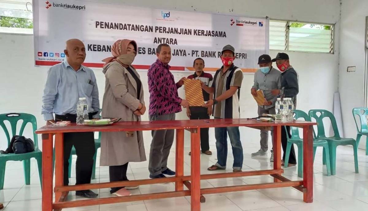 Pimpinan Bank Riau Kepri Cabang Tanjung Balai Karimun Wan Abdul Rahman menyerahkan sertifikat Agen Laku Pandai kepada BUMDes Keban. (foto: yra)