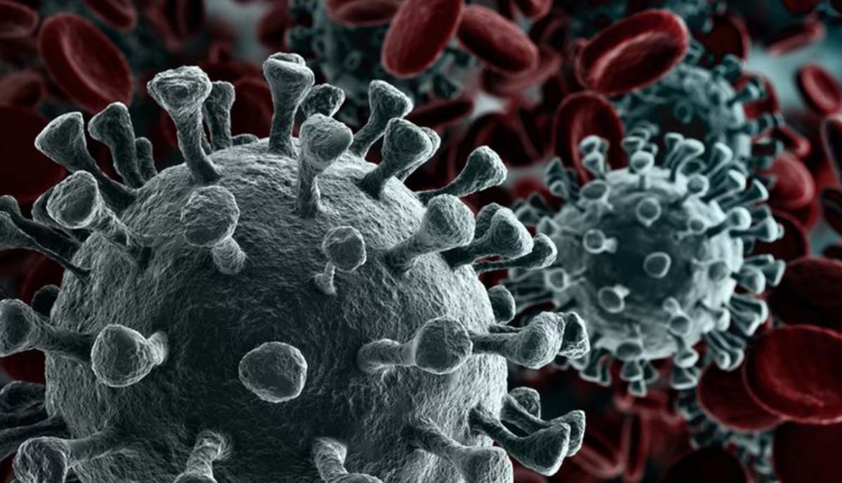 Virus Corona