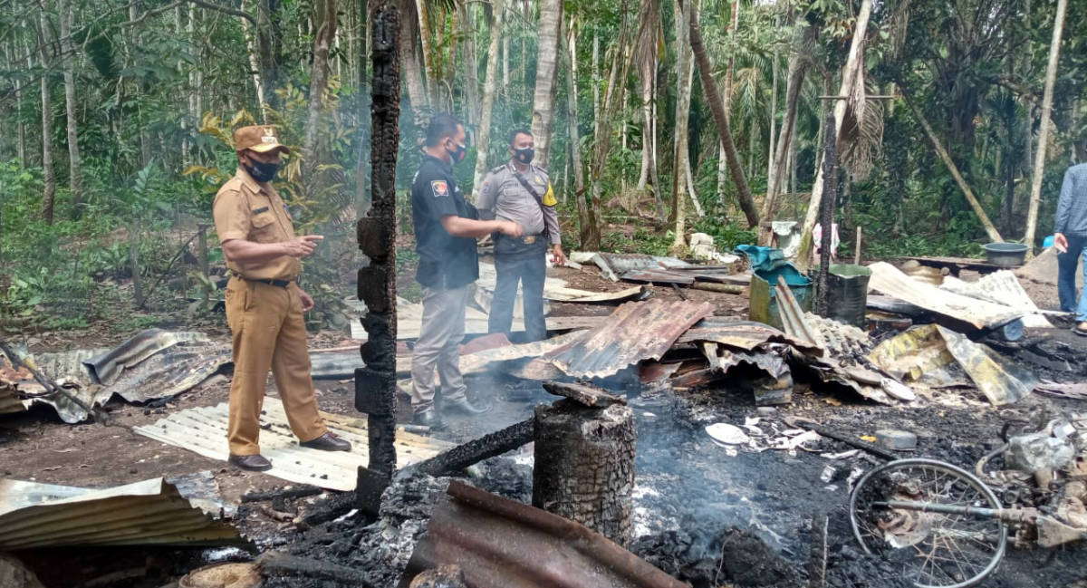 IMG-20210202-WA005820210202