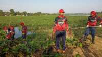 IMG-20210226-WA001420210226 Danlanal Tanjung Balai Karimun Letkol Laut (P) Maswedi turun langsung membersihkan eceng gondok yang menutupi Danau Taman Hijau. (Foto: Dok. Lanal Karimun)