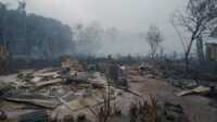 Karhutla di Kundur Utara Rumah warga turut hangus akibat kebakaran hutan dan lahan (karhutla) di Kundur Utara, Kabupaten Karimun, Kepulauan Riau.