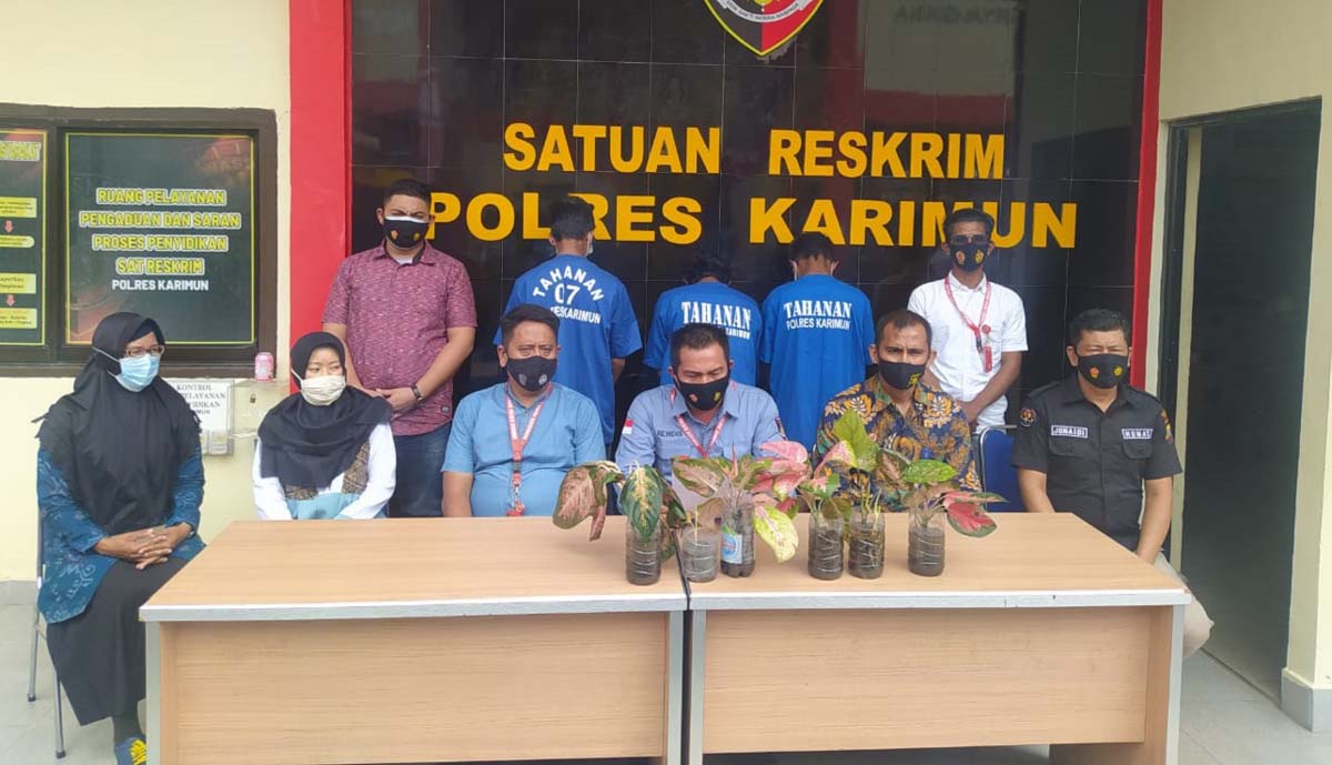 Tiga komplotan pencuri bunga keladi (baju tahanan) dihadirkan dalam konferensi pers yang digelar Satreskrim Polres Karimun, Kamis (11/2/2021), dua di antaranya masih anak di bawah umur. (foto: yra)