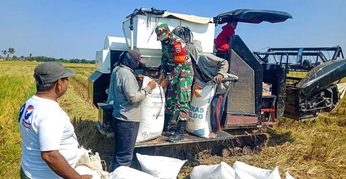 Babinsa di Langsa, Aceh. Dimana ada petani, di situ ada Babinsa yang siap mendampingi. (foto: juahari)