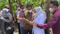 Bupati Mura Ratna Machmud tinjau lokasi pembangunan RSUD dan pasar.