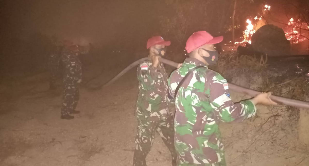 IMG-20210312-WA005220210312