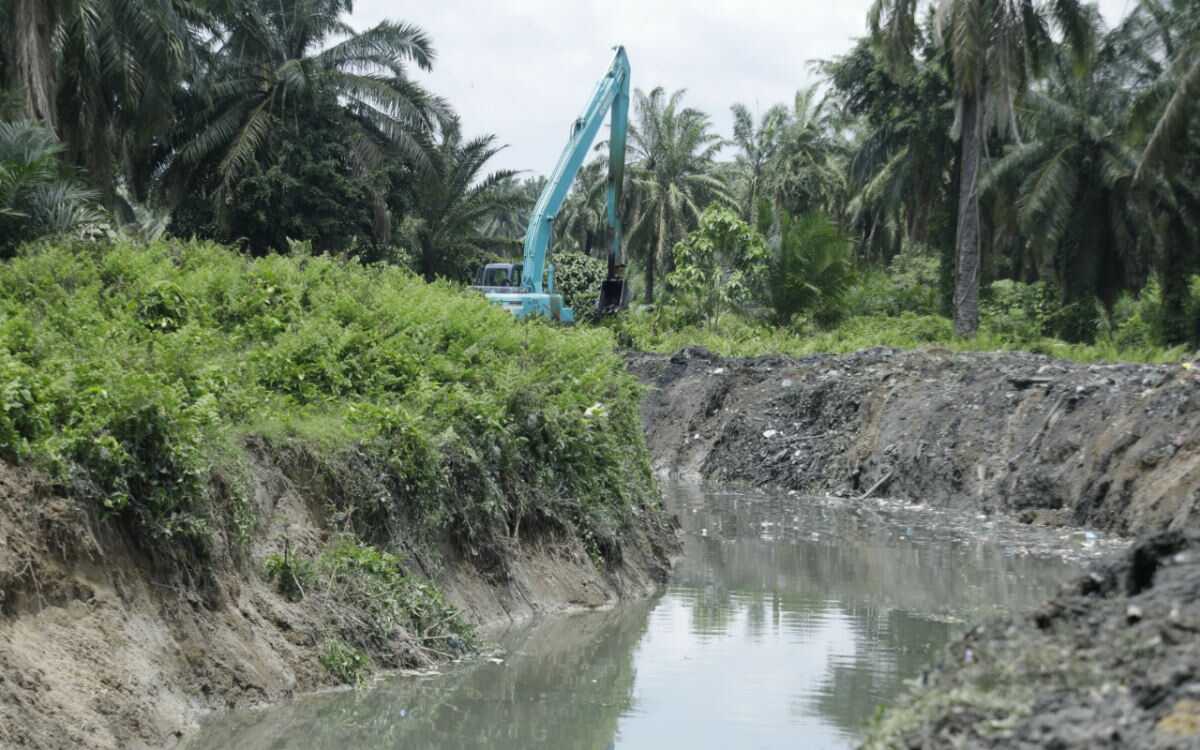 IMG-20210331-WA001520210331