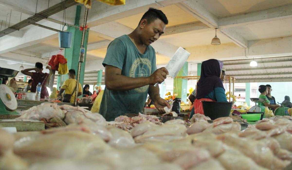 Pedagang daging ayam Pedagang ayam di Pasar Puan Maimun, (foto: yra)