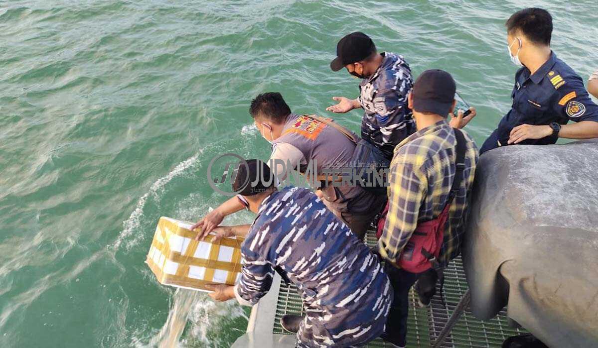 Lanal Karimun lepasliarkan benih lobster Danlanal TBK Letkol Laut (P) Puji Basuki memimpin pelepasliaran benih lobster yang hendak diselundupkan ke luar negeri. (foto: yra)