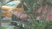 Pohon tumbang dua meninggal dunia di medan-1 Mobil angkot ringsek ditimpa pohon tumbang akibat hujan deras disertai angin kencang di Medan Tuntungan, Senin (28/6/2021), dua penumpang dilaporkan meninggal dunia. (foto: Ronald Sihombing)