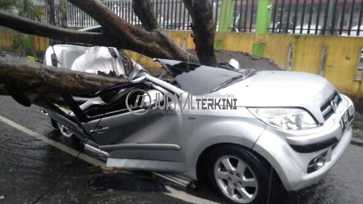 Satu mobil pribadi warna silver juga ringsek ditimpa pohon tumbang.