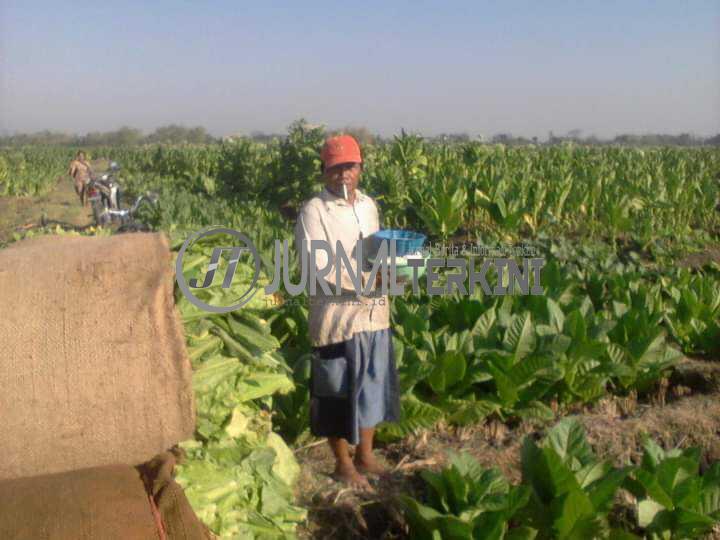 FB_IMG_1626411617829