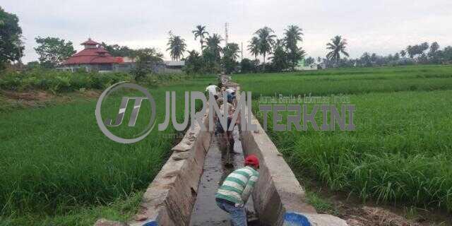 Jaringan-Irigasi-Banda-Kapalo-Koto-Mulai-Berfungsi-Kembali