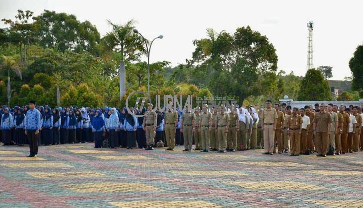 IMG-20210819-WA002520210819