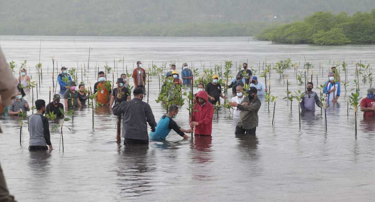 Presiden Joko Widodo bersama Gubernur Kepri Ansar Ahmad dan sejumlah pejabat menanam pohon mangrove, Setokok, Batam, Selasa (28/9/2021). (foto: Biro Humas Pemprov Kepri)
