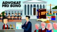 Advokat Probono