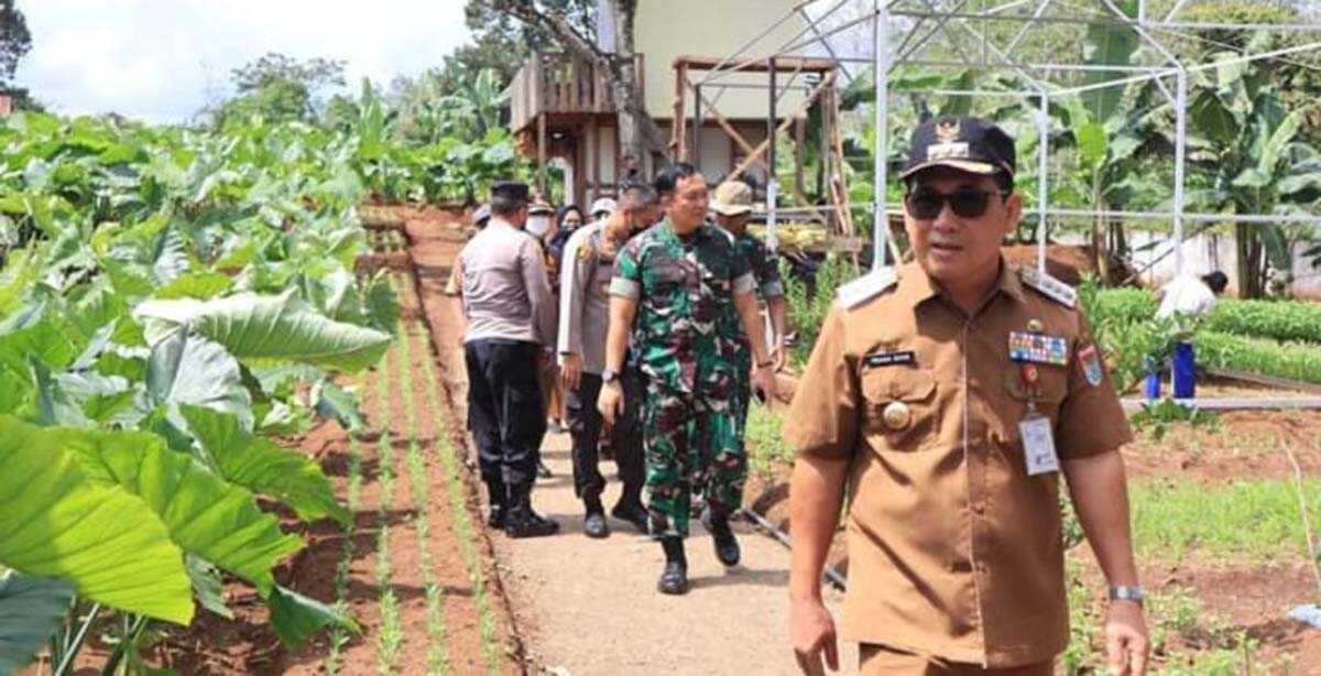 Wali Kota Lubuklingga bersama Dandim, Kapolres, Kajari dan beberapa pejabat lainnya meninjau semangka yang akan dipanen.