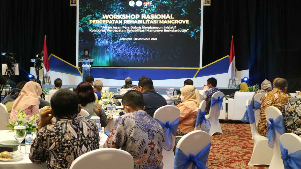 rehabilitasi mangrove HPN