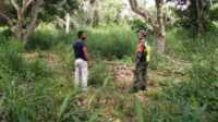 IMG-20220228-WA0009