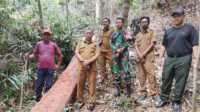 IMG-20220711-WA0028