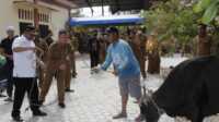 IMG-20220712-WA0034