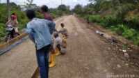 Proyek Peningkatan jalan Megang Gakti-Kebun Kulim-Jajaran Baru I, Kecamatan Megang Sakti, Kabupaten Musi Rawas Provinsi Sumatera Selatan mulai disoroti oleh Sony Ketua LSM BAPAK (Barisan Pemuda Anti Korupsi). (foto: jurnalterkini.id/abk)