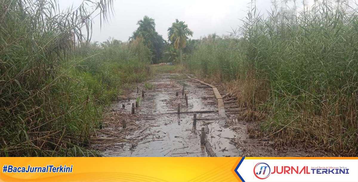 lahan terendam air PT SAGM Lahan pertanian dan perkebunan di Desa Kuala Sebatu, Kecamatan Batang Tuaka, Indragiri Hilir terendam air. (foto: jurnal/abd)