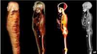 lapisan mumi mesir Lapisan mumi Mesir yang berasal dari 330 SM hasil pemindaian CT (computed tomography), dalam foto selebaran yang dirilis 24 Januari 2023. (Sahar N. Saleem via AP)
