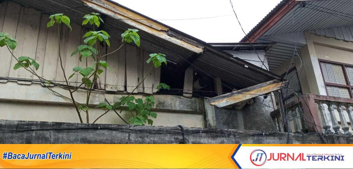 Pohon tumbuh di atas Pasar Inpres Tarempa. Goto diambil Kamis (9/2/2023). (JurnalTerkini.id/agus suradi_