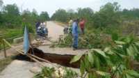 IMG-20230310-WA0056