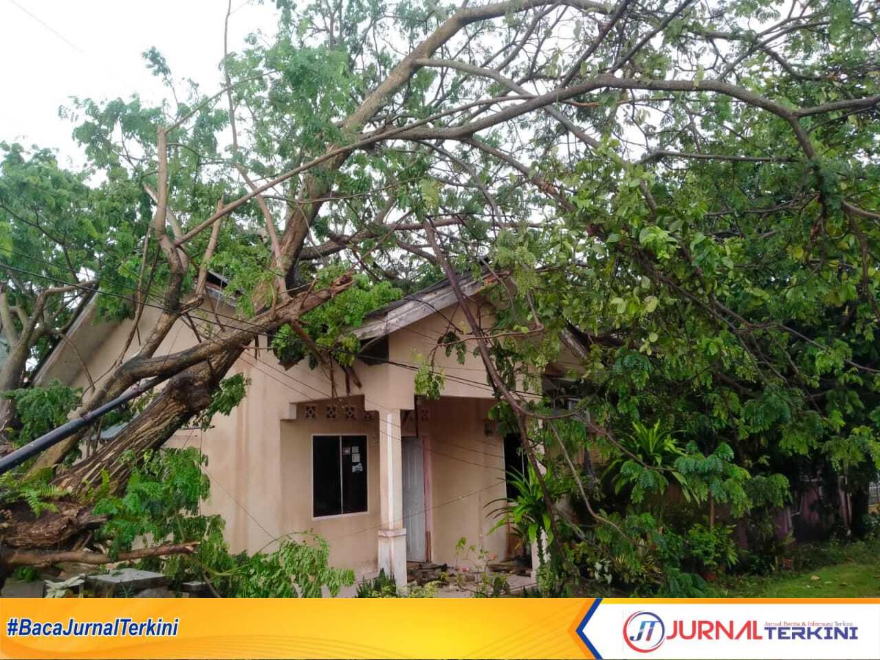 Satu unit rumah warga di Perumahan Taman Mutiara (TMK) Kabupaten Karimun, Kepulauan Riau rusak usai tertimpa sebuah pohon, Senin (27/3/2023). (JurnalTerkini.id/yogi)