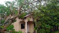 IMG-20230327-WA0042 Satu unit rumah warga di Perumahan Taman Mutiara (TMK) Kabupaten Karimun, Kepulauan Riau rusak usai tertimpa sebuah pohon, Senin (27/3/2023). (JurnalTerkini.id/yogi)