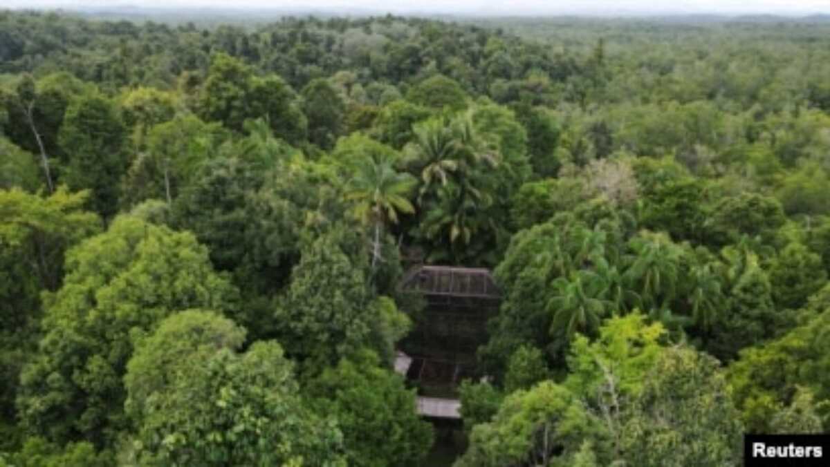 Kandang orangutan terlihat di Pusat Suaka Orangutan Arsari yang terletak di dekat ibu kota baru Indonesia (IKN) di Sepaku, Kalimantan Timur, 7 Maret 2023. (REUTERS/Willy Kurniawan)