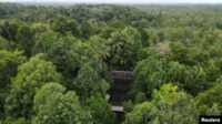 Pusat suaka orangutan arsari Kandang orangutan terlihat di Pusat Suaka Orangutan Arsari yang terletak di dekat ibu kota baru Indonesia (IKN) di Sepaku, Kalimantan Timur, 7 Maret 2023. (REUTERS/Willy Kurniawan)