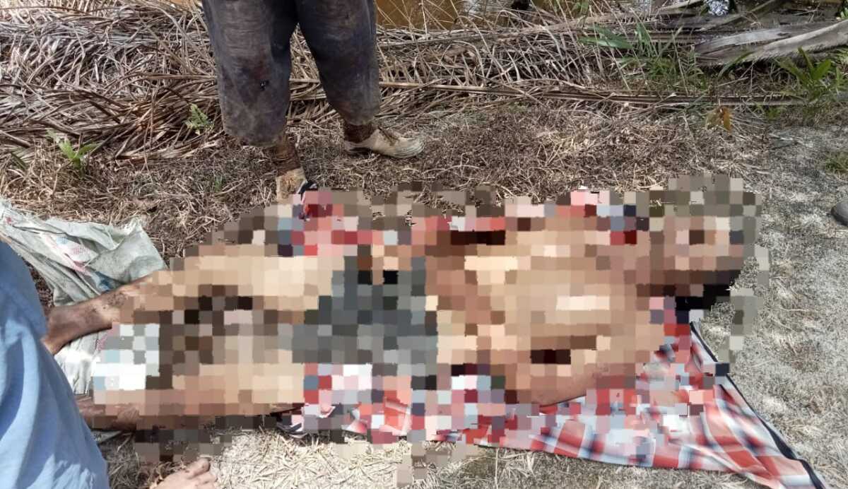 mayat di kebun sawit Asahan Jenazah Edianto Siahaan setelah ditemukan dalam parit bekoan melangsir sawit, Minggu (5/3/2023). (JurnalTerkini.id/rizki)