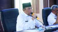 Wakil Bupati Karimun Anwar Hasyim (foto istimewa)