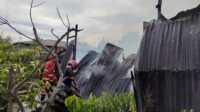 IMG_20230516_153040 Petugas memadamkan api yang menghanguskan satu rumah di Gg Awang Nur Kelurahan Baran Barat, Kecamatan Meral, Kabupaten Karimun, Kepulauan Riau dilalap si jago merah, Selasa (16/5/2023). (JurnalTerkini.id/yogi rafi putra)