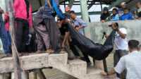 IMG-20230614-WA0055 Jenazah Husaini, nelayan asal Durai Karimun yan dikabarkan hilang dievakuasi Tim SAR, Rabu (14/6/2023). (Dokumentasi Pribadi)
