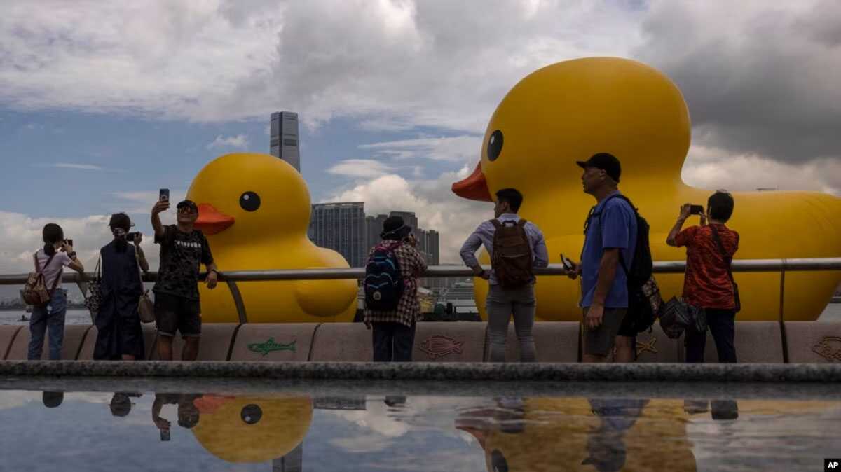 bebek karet raksasa hong kong Anggota masyarakat memotret instalasi seni "Double Duck" seniman Belanda Florentijn Hofman di Pelabuhan Victoria, Hong Kong, Jumat, 9 Juni 2023. (AP/Louise Delmotte)
