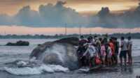 paus sperma di pantai yeh malet Warga mengitari bangkai paus sperma (Physeter Macrocephalus) yang terdampar di pantai Yeh Malet, Klungkung, 5 April 2023. (DICKY BISINGLASI/AFP)