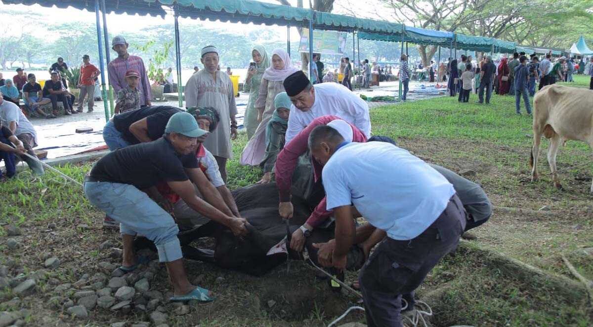 Penyembelian hewan kurban di Alun-Alun Rambate Rata Raya Kisaran, Kamis (29/06/2023). (Dokumentasi Pribadi)