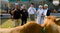 kurban bupati karimun Wakil Bupati Karimun Anwar Hasyim menyerahkan sapi dari Bupati Aunur Rafiq untuk disembelih di Hari Raya Idul Adha kepada panitia kurban Masjid Agung usai shalat id, Kamis (29/6/2023). (Dok. Prokopim Karimun)