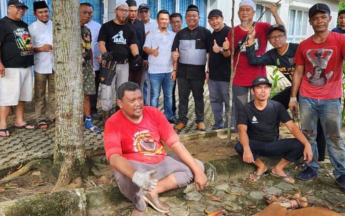 pwi riau berkurban Merayakan Idul Adha 1444 H, PWI Provinsi Riau menyembelih sembilan hewan kurban, Sabtu (1/7/2023). (riau.siberindo.co)