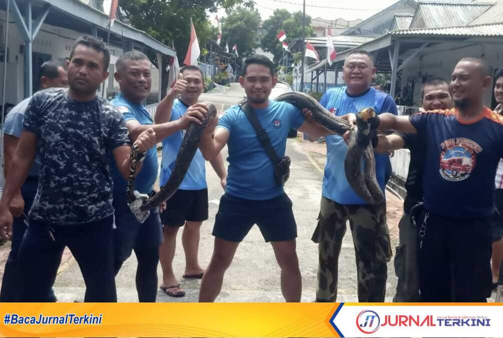 Pasi Intel Lanal Tbk, Kapten Laut (E) M Amir Mahmud bersama anggota berpose bersama ular yang diamankan Perumahan Lanal Tanjung Balai Karimun, Jumat (1/9/2023). (JurnalTerkini.id/Yogi)