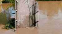 jembatan tanjung baru-tekulai putus Jembatan yang menghubungkan Desa Tanjung Baru dengan Desa Tekulai,, Indragiri Hilir, Riau, Kamis (14/9/2023) putus akibat abrasi. (JurnalTerkini.id/abdullah)