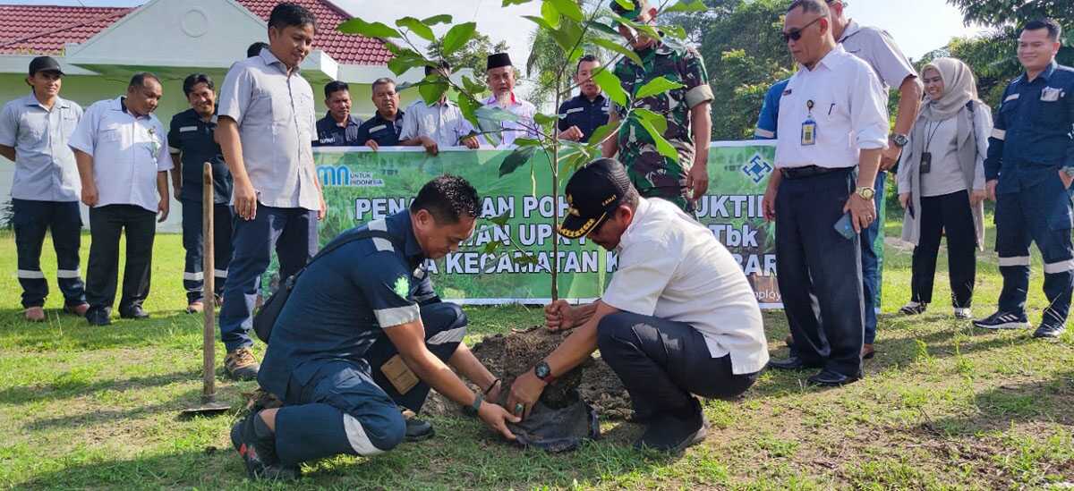 penghijauan pt timah Waka Unit Produksi Kundur PT Timah Tbk Anton Saputra (kiri) bersama Camat Kundur Barat Yusufian menanam bibit tanaman produktif sebagai upaya menekan polusi dan penghijauan kawasan di areal Kantor Camat Kundur Barat, Rabu (13/9/2023). (Dok PT Timah Tbk)