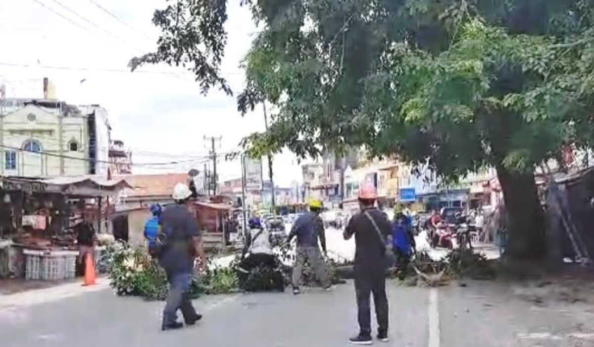 Dahan pada pohon yang menempel atau mengganggu jaringan dipangkas dan dibersihkan petugas PLN di kawasan Jalan Ahmad Yani, Kolong, Sabtu (26/8/2023). (Dokumentasi pribadi)
