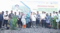 Bupati Inhil HM Wardan (5 kiri) bersama Ketua TP PKK Hj Zulaikhah Wardan, beberapa pejabat berfoto bersama kelompok tani usai penanaman perdana kelapa sawit Prograk PKSP di Desa Mugomulyo, Kecamatan Sungai Batang, Rabu (20/09/2023). (JurnalTerkini.id/Abdullah)